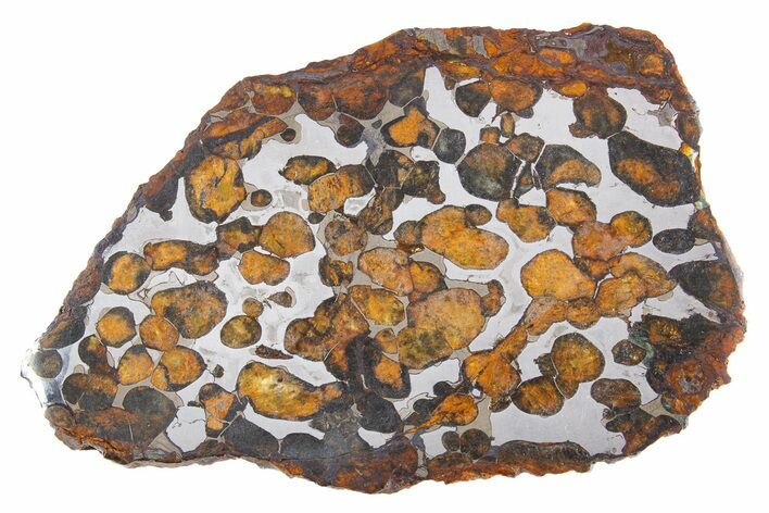 Polished Sericho Pallasite Meteorite ( g) Slice - Kenya #300772